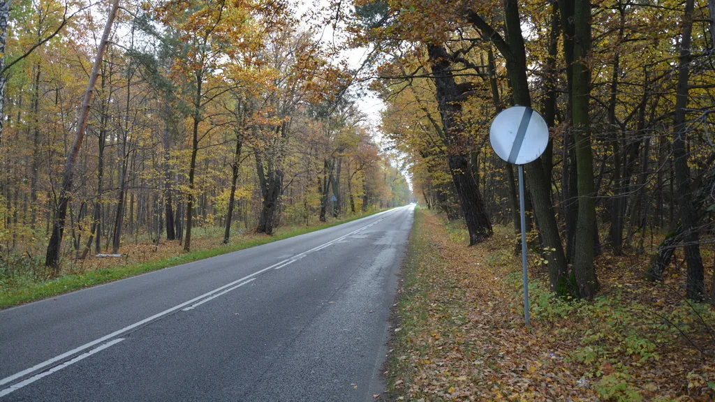 Zdjęcie do pytania: Czy przedstawiony znak odwołuje zakaz wyrażony znakiem B-35 ...